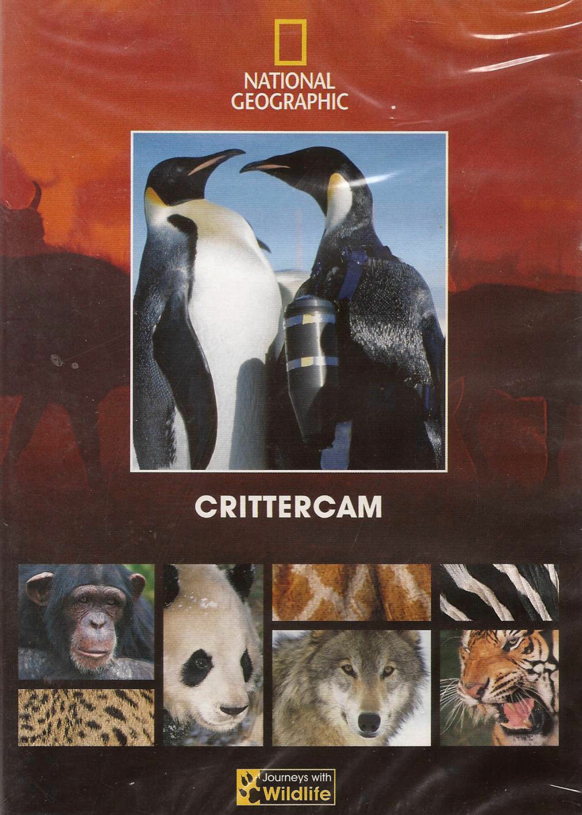 Crittercam